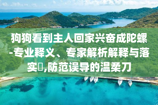 狗狗看到主人回家興奮成陀螺-專業(yè)釋義、專家解析解釋與落實(shí)?,防范誤導(dǎo)的溫柔刀