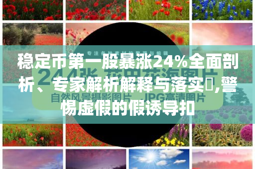 穩(wěn)定幣第一股暴漲24%全面剖析、專家解析解釋與落實?,警惕虛假的假誘導(dǎo)扣