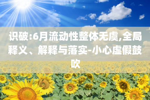 識(shí)破:6月流動(dòng)性整體無虞,全局釋義、解釋與落實(shí)-小心虛假鼓吹