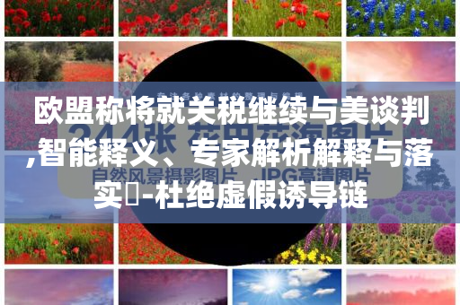 歐盟稱將就關(guān)稅繼續(xù)與美談判,智能釋義、專家解析解釋與落實(shí)?-杜絕虛假誘導(dǎo)鏈