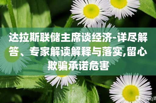 達拉斯聯(lián)儲主席談經濟-詳盡解答、專家解讀解釋與落實,留心欺騙承諾危害