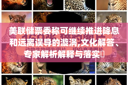 美聯(lián)儲票委稱可繼續(xù)推進降息和遠離誤導的漩渦,文化解答、專家解析解釋與落實?