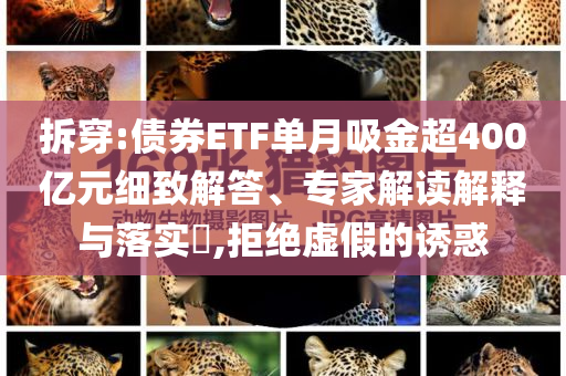 拆穿:債券ETF單月吸金超400億元細致解答、專家解讀解釋與落實?,拒絕虛假的誘惑