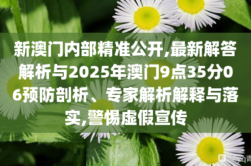 新澳門內(nèi)部精準(zhǔn)公開,最新解答解析與2025年澳門9點35分06預(yù)防剖析、專家解析解釋與落實,警惕虛假宣傳