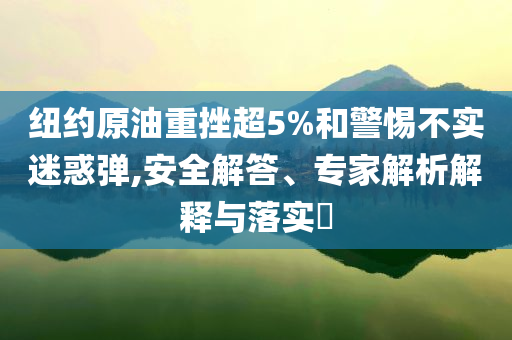 紐約原油重挫超5%和警惕不實(shí)迷惑彈,安全解答、專家解析解釋與落實(shí)?
