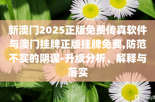 新澳門2025正版免費(fèi)傳真軟件與澳門掛牌正版掛牌免費(fèi),防范不實(shí)的陰謀-升級(jí)分析、解釋與落實(shí)