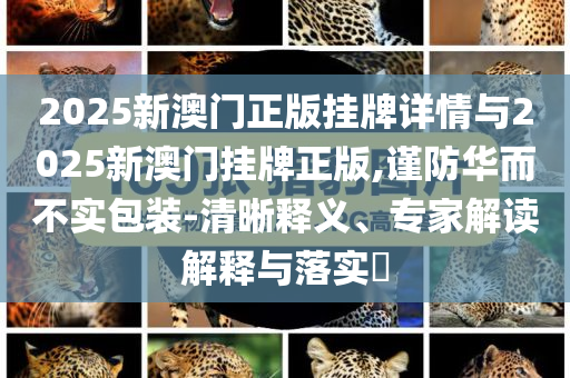 2025新澳門正版掛牌詳情與2025新澳門掛牌正版,謹(jǐn)防華而不實(shí)包裝-清晰釋義、專家解讀解釋與落實(shí)?