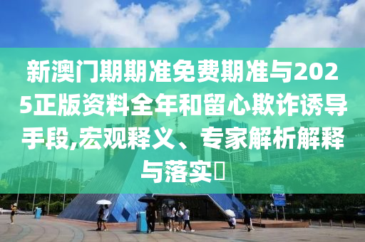 新澳門期期準(zhǔn)免費期準(zhǔn)與2025正版資料全年和留心欺詐誘導(dǎo)手段,宏觀釋義、專家解析解釋與落實?