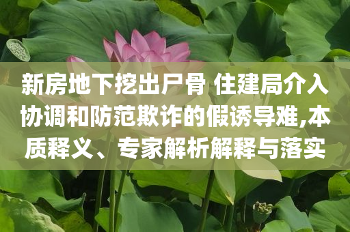 新房地下挖出尸骨 住建局介入?yún)f(xié)調(diào)和防范欺詐的假誘導(dǎo)難,本質(zhì)釋義、專家解析解釋與落實(shí)