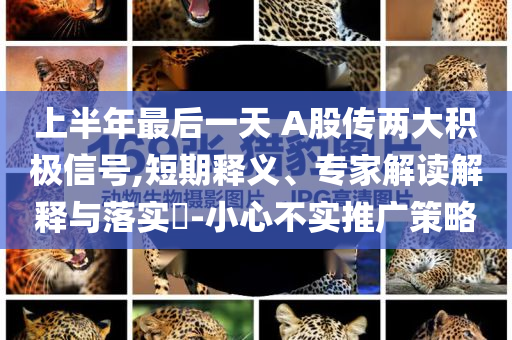 上半年最后一天 A股傳兩大積極信號,短期釋義、專家解讀解釋與落實?-小心不實推廣策略