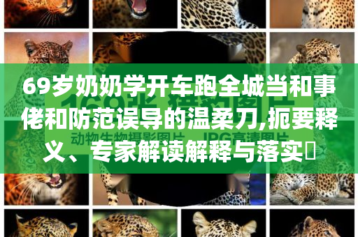 69歲奶奶學(xué)開車跑全城當和事佬和防范誤導(dǎo)的溫柔刀,扼要釋義、專家解讀解釋與落實?