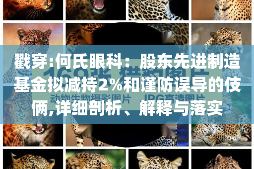 戳穿:何氏眼科：股東先進制造基金擬減持2%和謹防誤導的伎倆,詳細剖析、解釋與落實