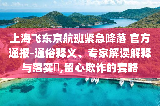 上海飛東京航班緊急降落 官方通報(bào)-通俗釋義、專家解讀解釋與落實(shí)?,留心欺詐的套路