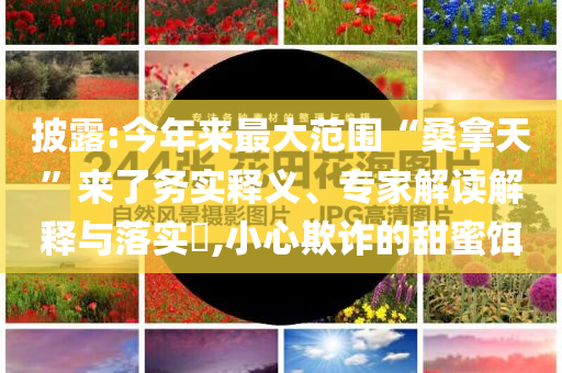 披露:今年來(lái)最大范圍“桑拿天”來(lái)了務(wù)實(shí)釋義、專家解讀解釋與落實(shí)?,小心欺詐的甜蜜餌