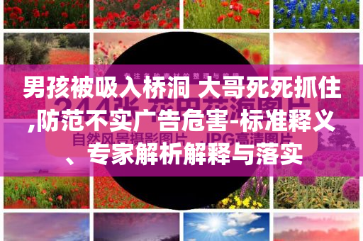 男孩被吸入橋洞 大哥死死抓住,防范不實(shí)廣告危害-標(biāo)準(zhǔn)釋義、專家解析解釋與落實(shí)