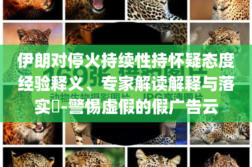 伊朗對?；鸪掷m(xù)性持懷疑態(tài)度經(jīng)驗釋義、專家解讀解釋與落實?-警惕虛假的假廣告云