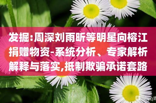 發(fā)掘:周深劉雨昕等明星向榕江捐贈物資-系統(tǒng)分析、專家解析解釋與落實,抵制欺騙承諾套路