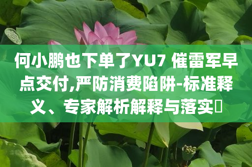 何小鵬也下單了YU7 催雷軍早點(diǎn)交付,嚴(yán)防消費(fèi)陷阱-標(biāo)準(zhǔn)釋義、專家解析解釋與落實(shí)?