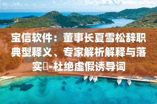 寶信軟件：董事長(zhǎng)夏雪松辭職典型釋義、專家解析解釋與落實(shí)?-杜絕虛假誘導(dǎo)詞