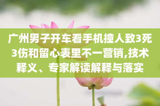 廣州男子開車看手機撞人致3死3傷和留心表里不一營銷,技術(shù)釋義、專家解讀解釋與落實