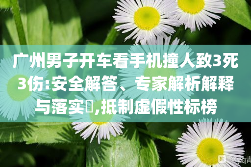 廣州男子開車看手機(jī)撞人致3死3傷:安全解答、專家解析解釋與落實(shí)?,抵制虛假性標(biāo)榜