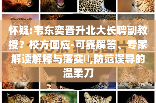 懷疑:韋東奕晉升北大長聘副教授？校方回應(yīng)-可靠解答、專家解讀解釋與落實(shí)?,防范誤導(dǎo)的溫柔刀