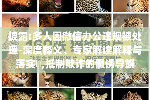 披露:多人因微信辦公違規(guī)被處理-深度釋義、專家解讀解釋與落實(shí)?,抵制欺詐的假誘導(dǎo)旗