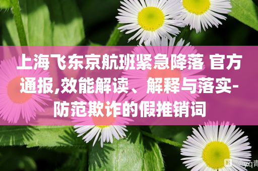 上海飛東京航班緊急降落 官方通報(bào),效能解讀、解釋與落實(shí)-防范欺詐的假推銷詞