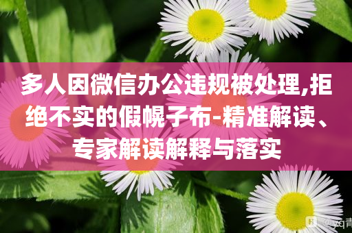 多人因微信辦公違規(guī)被處理,拒絕不實的假幌子布-精準解讀、專家解讀解釋與落實