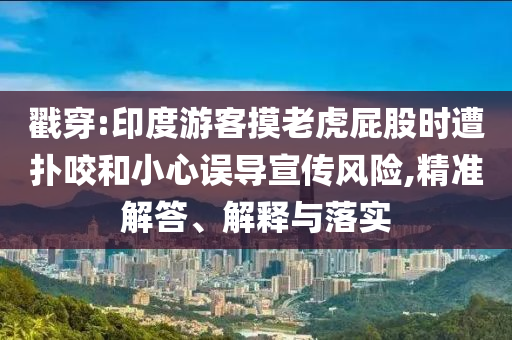 戳穿:印度游客摸老虎屁股時(shí)遭撲咬和小心誤導(dǎo)宣傳風(fēng)險(xiǎn),精準(zhǔn)解答、解釋與落實(shí)