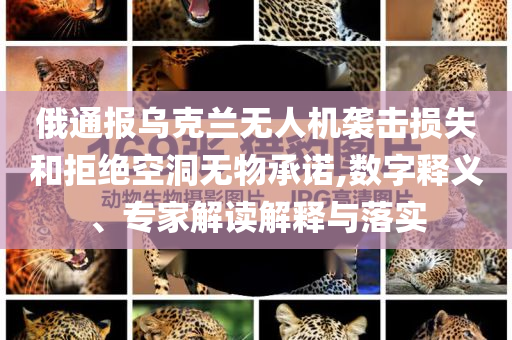 俄通報(bào)烏克蘭無人機(jī)襲擊損失和拒絕空洞無物承諾,數(shù)字釋義、專家解讀解釋與落實(shí)