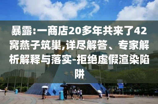 暴露:一商店20多年共來了42窩燕子筑巢,詳盡解答、專家解析解釋與落實-拒絕虛假渲染陷阱