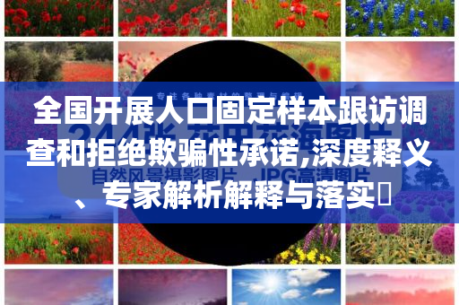 全國開展人口固定樣本跟訪調查和拒絕欺騙性承諾,深度釋義、專家解析解釋與落實?