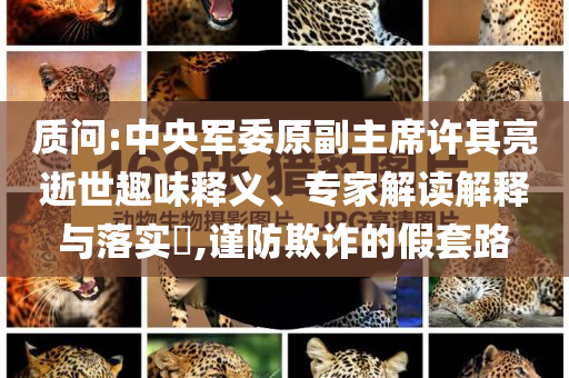 質(zhì)問:中央軍委原副主席許其亮逝世趣味釋義、專家解讀解釋與落實(shí)?,謹(jǐn)防欺詐的假套路