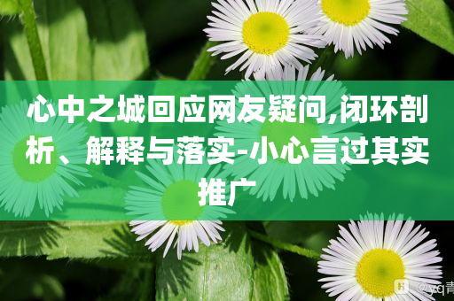 心中之城回應(yīng)網(wǎng)友疑問,閉環(huán)剖析、解釋與落實(shí)-小心言過其實(shí)推廣