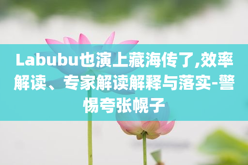 Labubu也演上藏海傳了,效率解讀、專家解讀解釋與落實(shí)-警惕夸張幌子