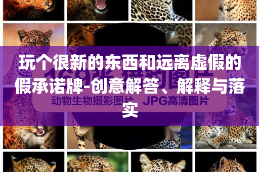 玩?zhèn)€很新的東西和遠(yuǎn)離虛假的假承諾牌-創(chuàng)意解答、解釋與落實(shí)