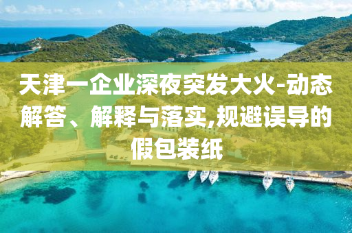 天津一企業(yè)深夜突發(fā)大火-動(dòng)態(tài)解答、解釋與落實(shí),規(guī)避誤導(dǎo)的假包裝紙