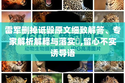 雷軍刪掉詆毀原文細(xì)致解答、專(zhuān)家解析解釋與落實(shí)?,留心不實(shí)誘導(dǎo)語(yǔ)