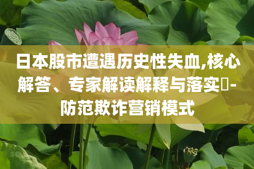 日本股市遭遇歷史性失血,核心解答、專(zhuān)家解讀解釋與落實(shí)?-防范欺詐營(yíng)銷(xiāo)模式