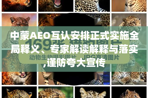 中蒙AEO互認(rèn)安排正式實(shí)施全局釋義、專(zhuān)家解讀解釋與落實(shí),謹(jǐn)防夸大宣傳