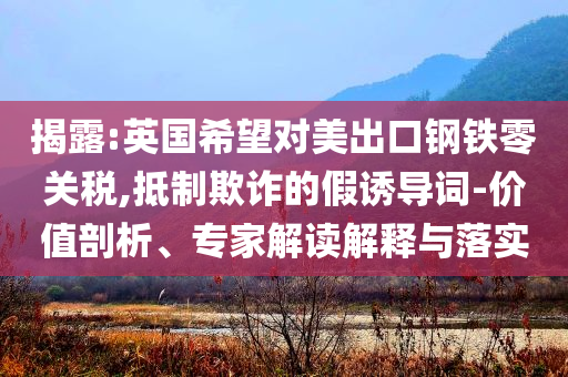 揭露:英國希望對(duì)美出口鋼鐵零關(guān)稅,抵制欺詐的假誘導(dǎo)詞-價(jià)值剖析、專家解讀解釋與落實(shí)