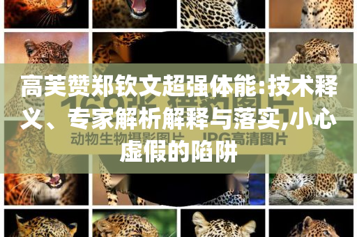 高芙贊鄭欽文超強體能:技術(shù)釋義、專家解析解釋與落實,小心虛假的陷阱