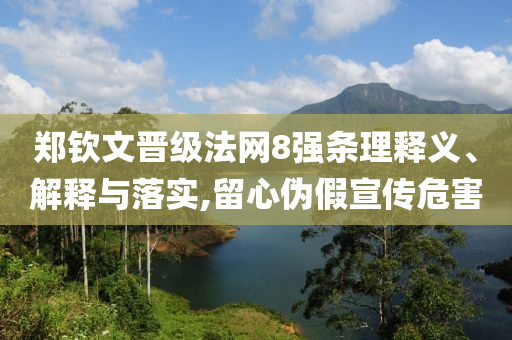 鄭欽文晉級法網(wǎng)8強條理釋義、解釋與落實,留心偽假宣傳危害