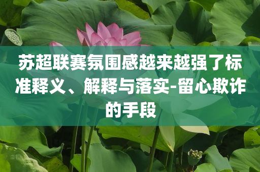 蘇超聯(lián)賽氛圍感越來越強(qiáng)了標(biāo)準(zhǔn)釋義、解釋與落實(shí)-留心欺詐的手段