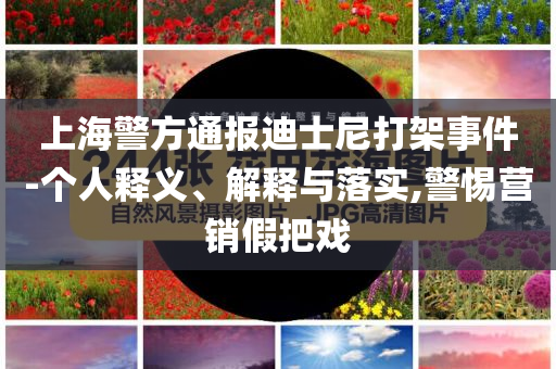 上海警方通報迪士尼打架事件-個人釋義、解釋與落實,警惕營銷假把戲