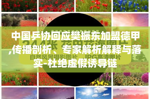 中國乒協(xié)回應(yīng)樊振東加盟德甲,傳播剖析、專家解析解釋與落實-杜絕虛假誘導(dǎo)鏈