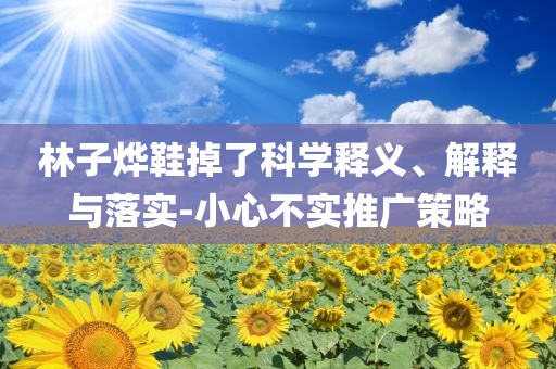 林子燁鞋掉了科學(xué)釋義、解釋與落實(shí)-小心不實(shí)推廣策略