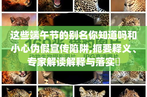 這些端午節(jié)的別名你知道嗎和小心偽假宣傳陷阱,扼要釋義、專家解讀解釋與落實(shí)?