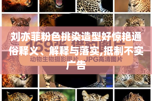 劉亦菲粉色挑染造型好驚艷通俗釋義、解釋與落實(shí),抵制不實(shí)廣告